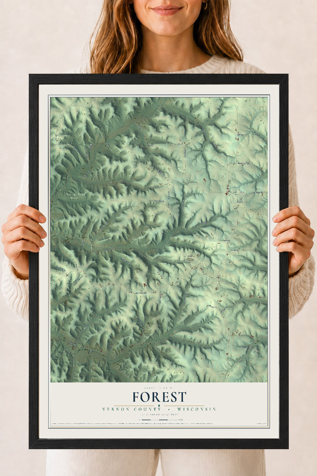 Map of Forest, Vernon County, Wisconsin, 18 x 24 inch print in a black wood frame