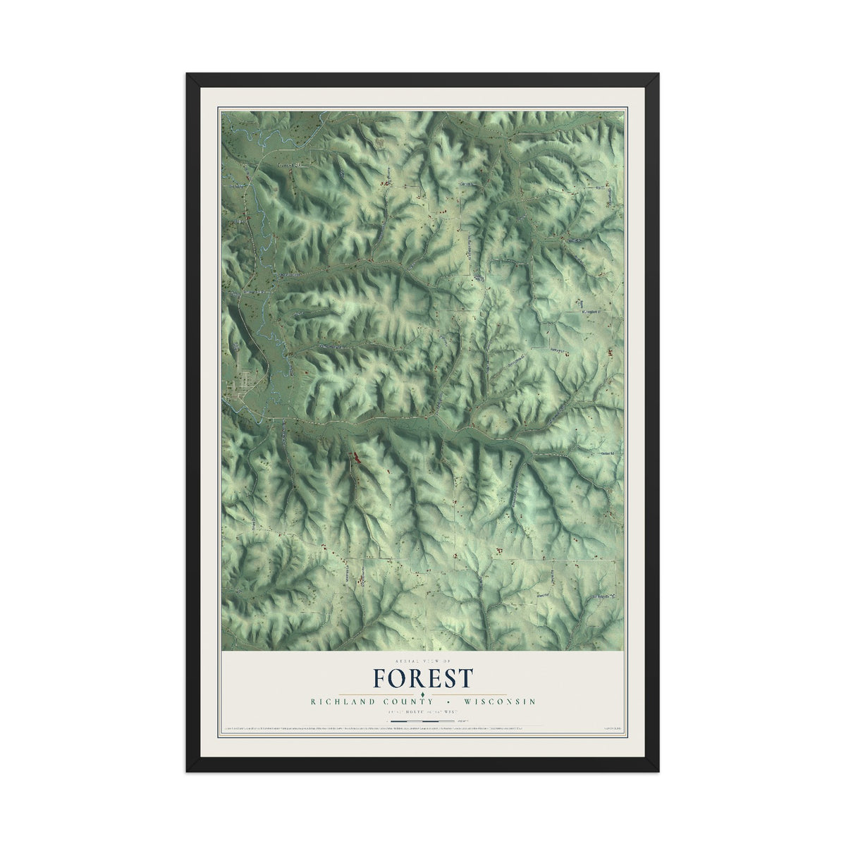 Map of Forest, Richland County, Wisconsin, 12 x 18 inch print in a black wood frame