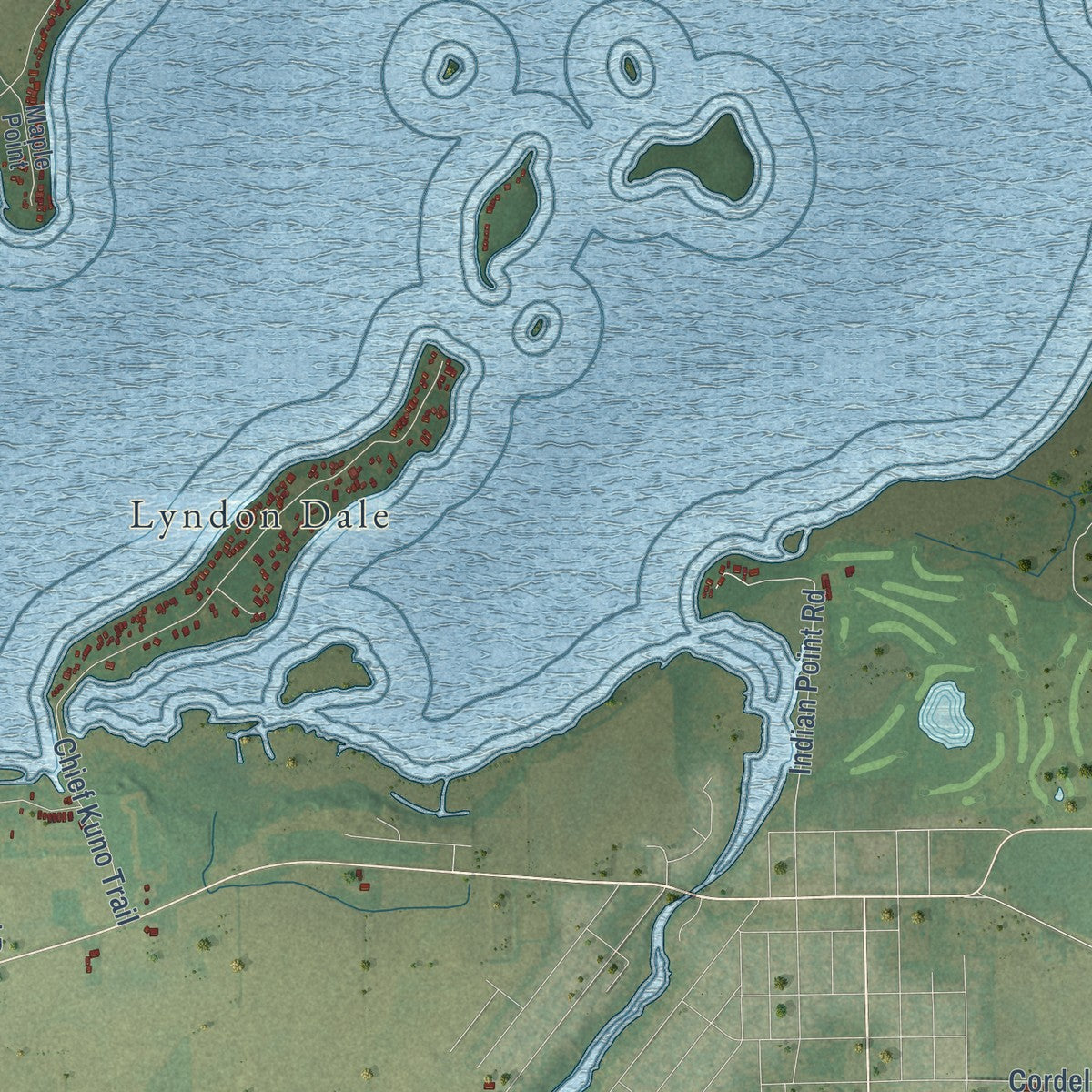 Close-up of the map of the Town of Fox Lake, Wisconsin print showing street and building detail
