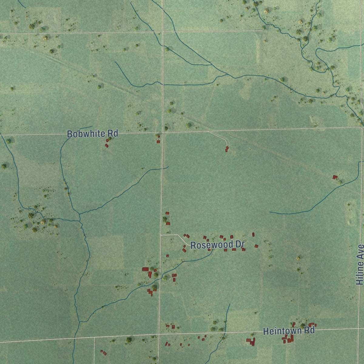 Second close-up of the map of the Town of Fremont, Clark County, Wisconsin print showing more streets and buildings