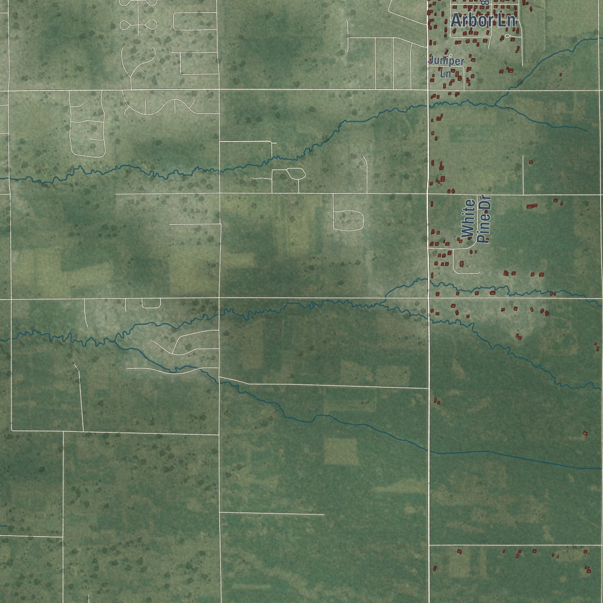 Second close-up of the map of Grant, Portage County, Wisconsin print showing more streets and buildings