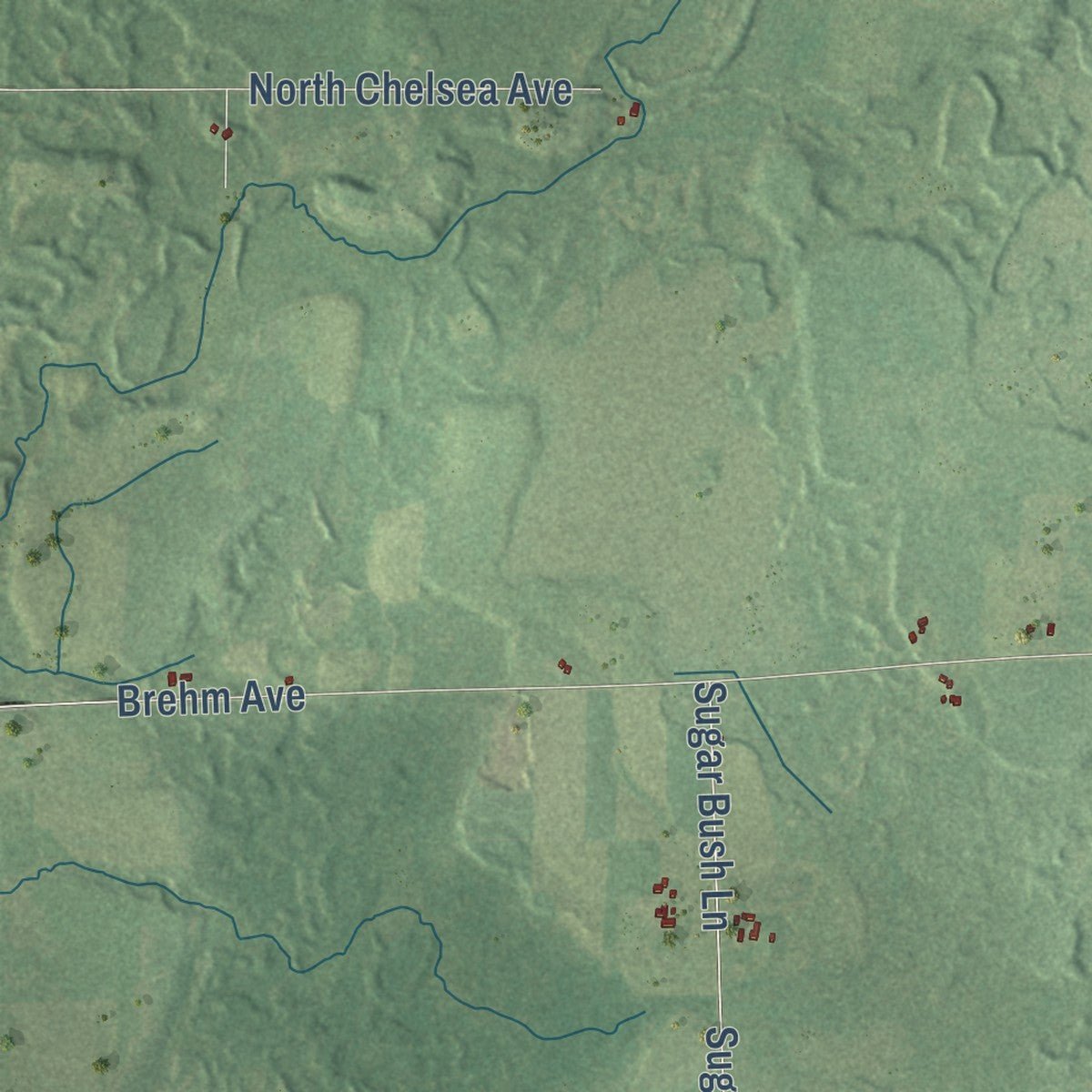 Close-up of the map of Greenwood, Taylor County, Wisconsin print showing street and building detail