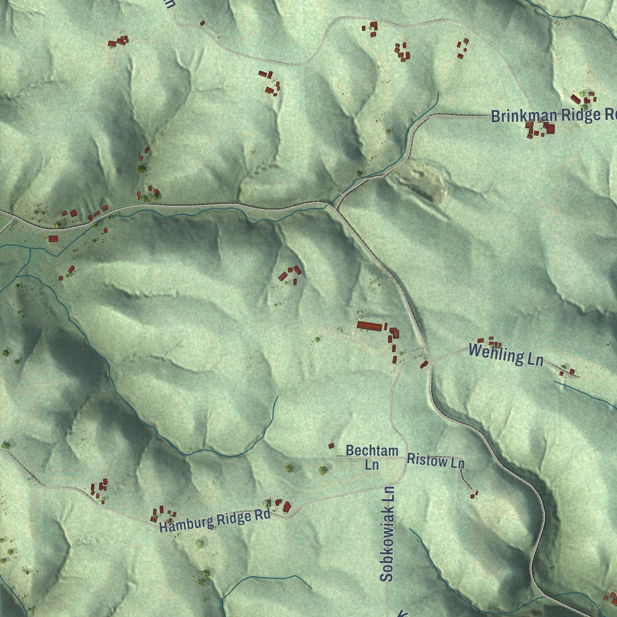 Close-up of the map of Hamburg, Vernon County, Wisconsin print showing street and building detail