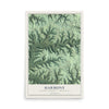 Map of Harmony, Vernon County, Wisconsin, 12 x 18 inch unframed archival matte print