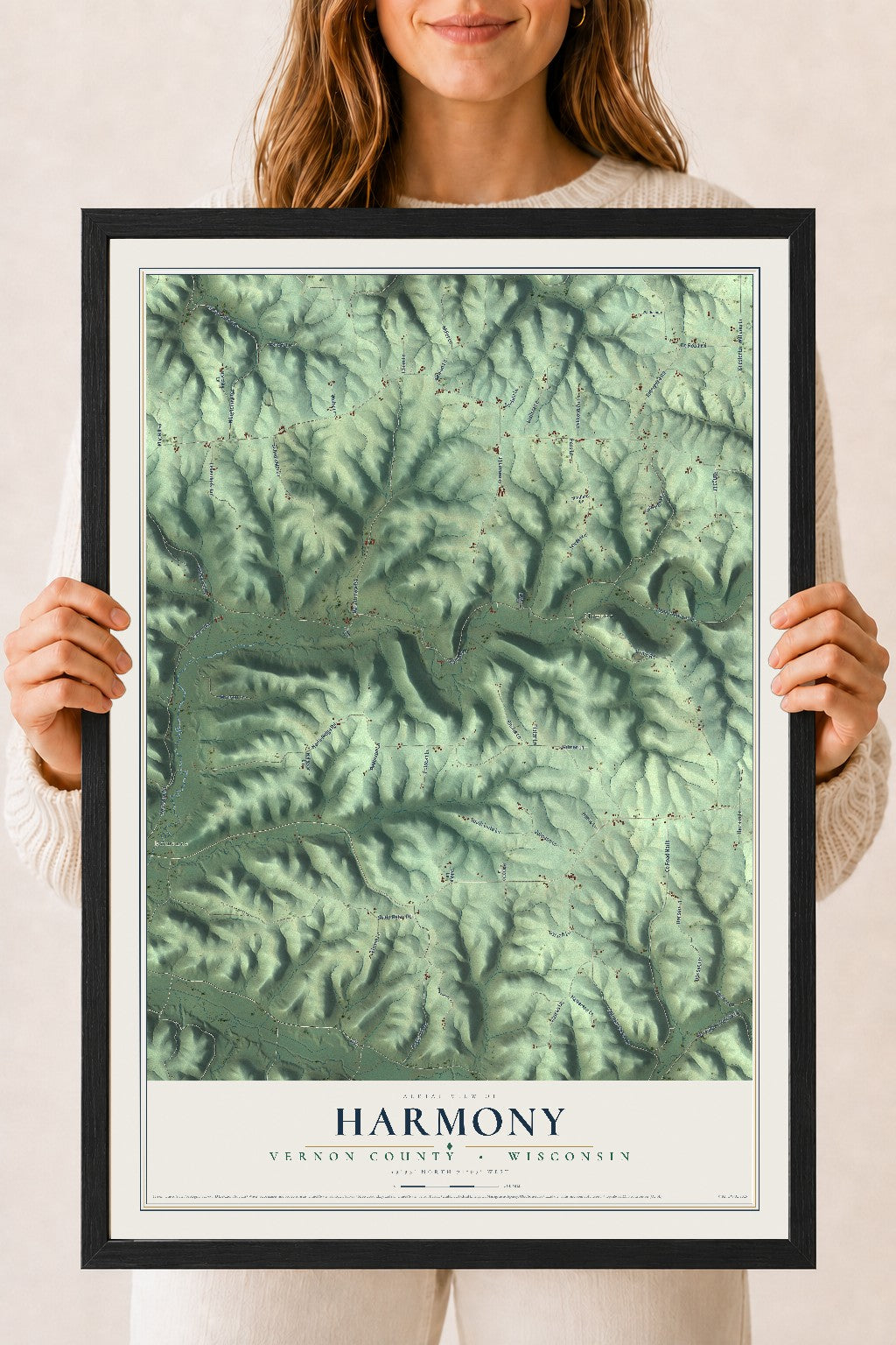 Map of Harmony, Vernon County, Wisconsin, 18 x 24 inch print in a black wood frame