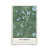Map of Hazelhurst, Wisconsin, 12 x 18 inch unframed archival matte print
