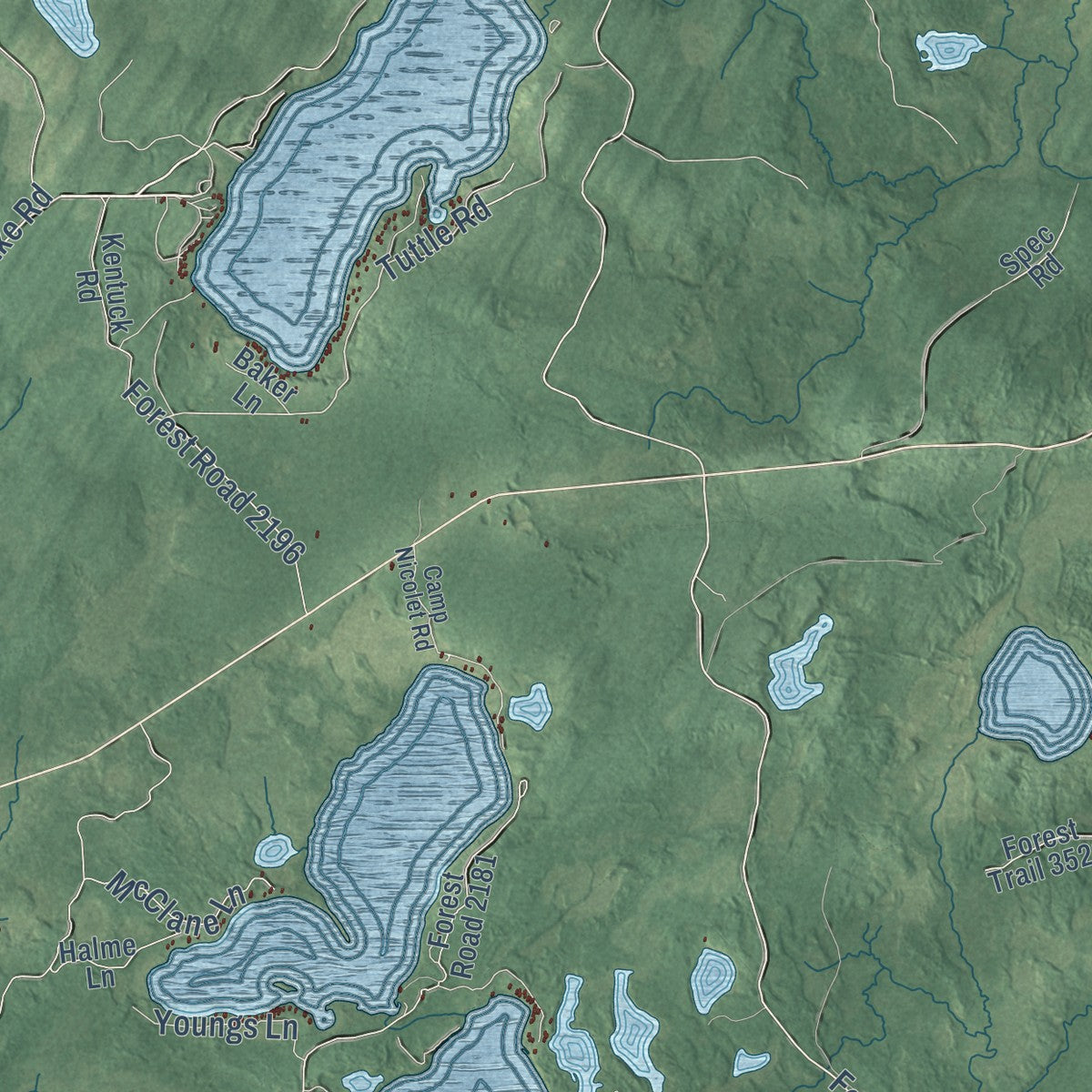 Close-up of the map of Hiles, Forest County, Wisconsin print showing street and building detail