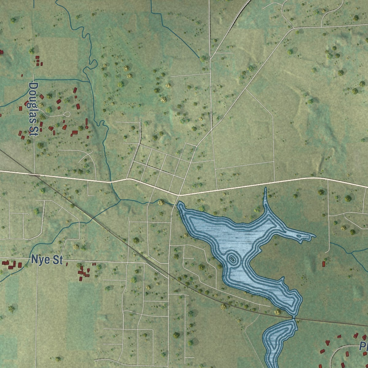 Close-up of the map of Hortonia, Wisconsin print showing street and building detail