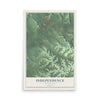 Map of Independence, Wisconsin, 12 x 18 inch unframed archival matte print