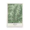 Map of Jordan, Wisconsin, 12 x 18 inch unframed archival matte print