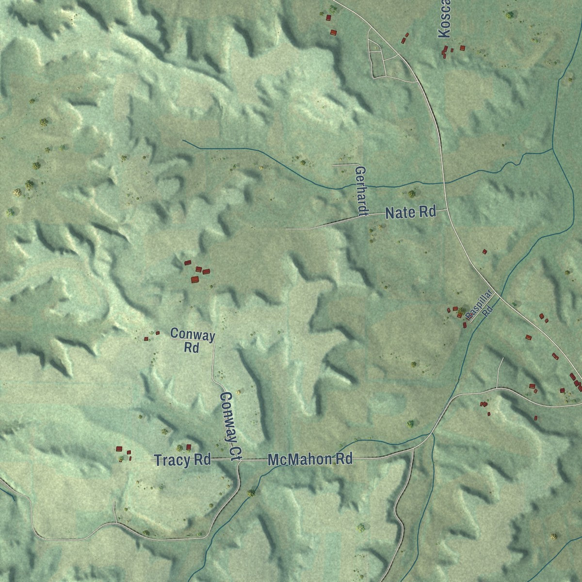 Close-up of the map of Kildare, Wisconsin print showing street and building detail
