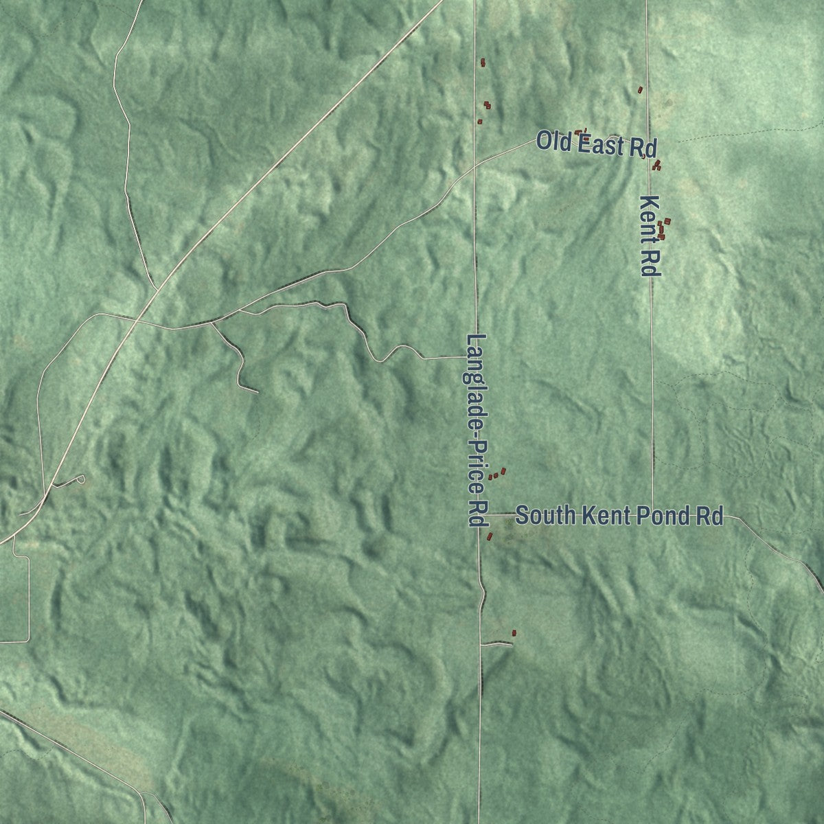 Close-up of the map of Langlade, Wisconsin print showing street and building detail