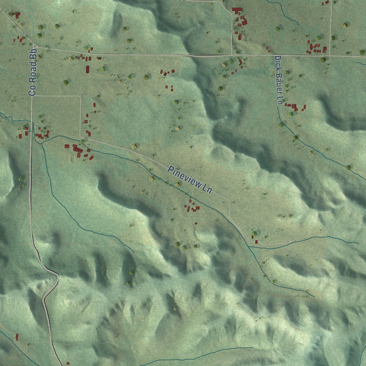 Close-up of the map of Lima, Pepin County, Wisconsin print showing street and building detail