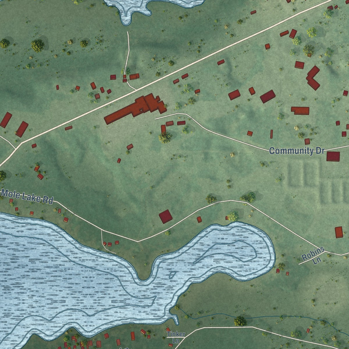 Close-up of the map of Mole Lake, Wisconsin print showing street and building detail