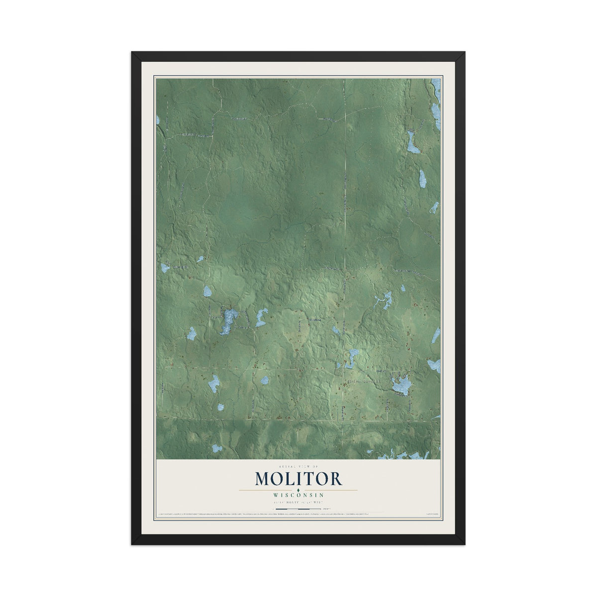 Map of Molitor, Wisconsin, 12 x 18 inch print in a black wood frame