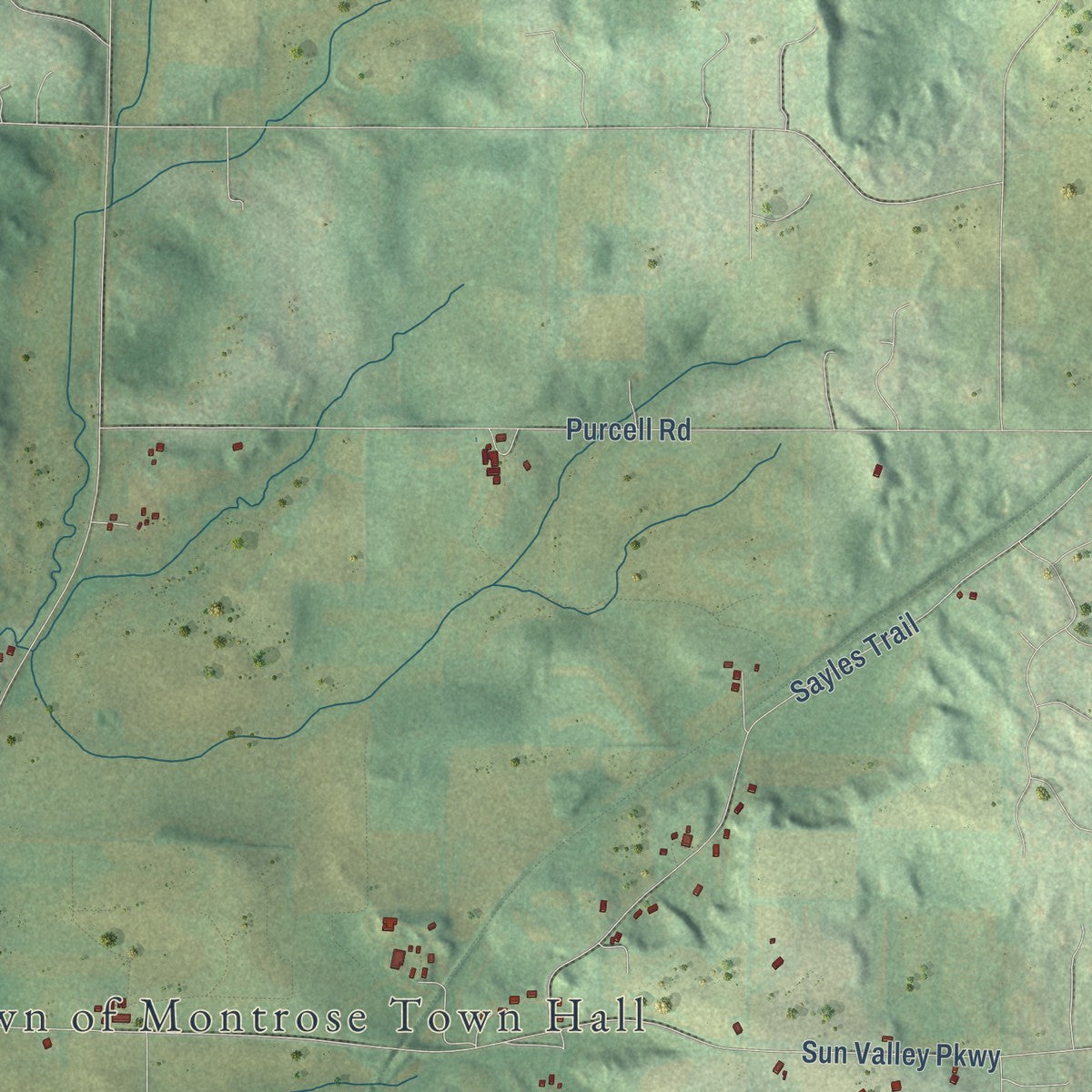 Second close-up of the map of Montrose, Wisconsin print showing more streets and buildings