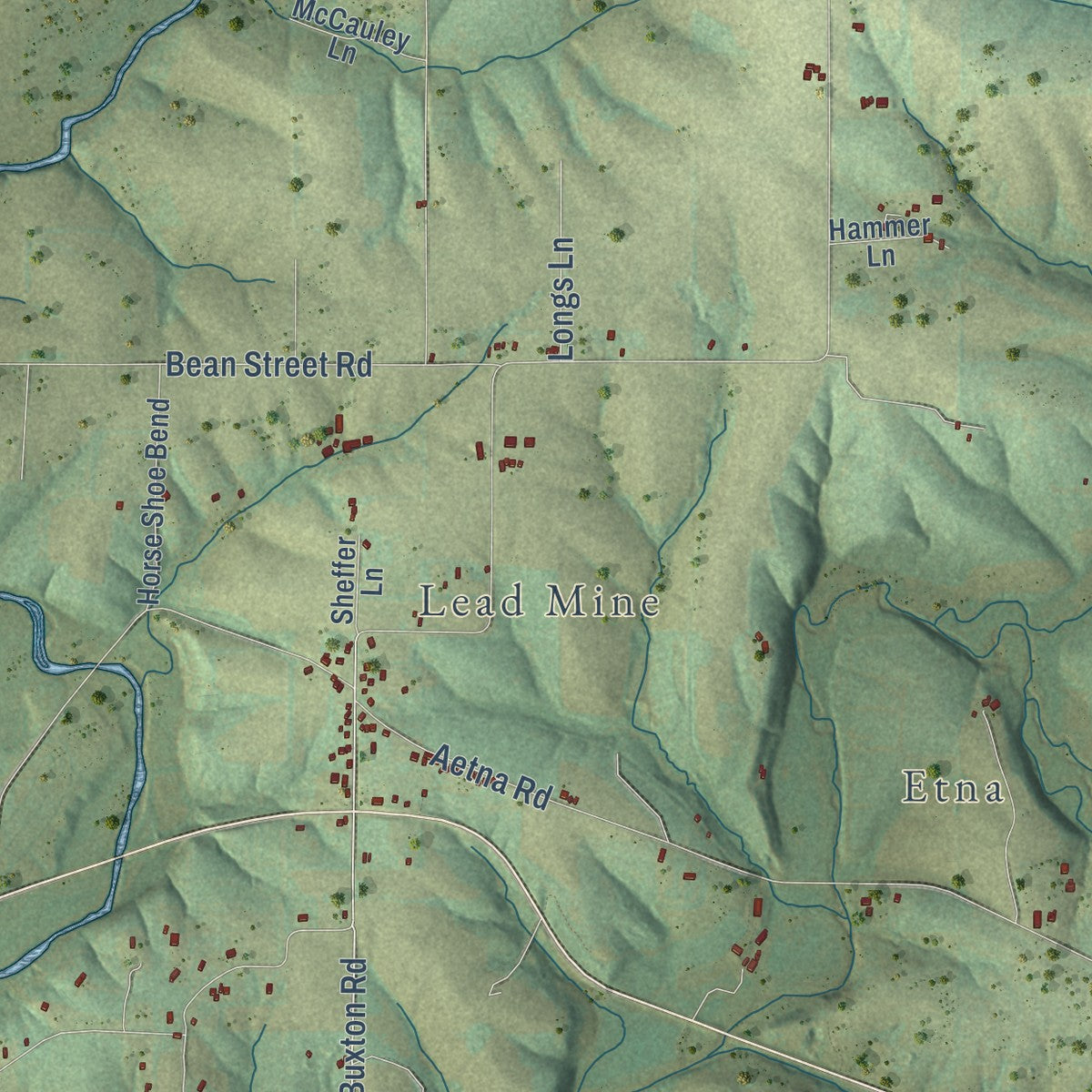 Close-up of the map of New Diggings, Wisconsin print showing street and building detail