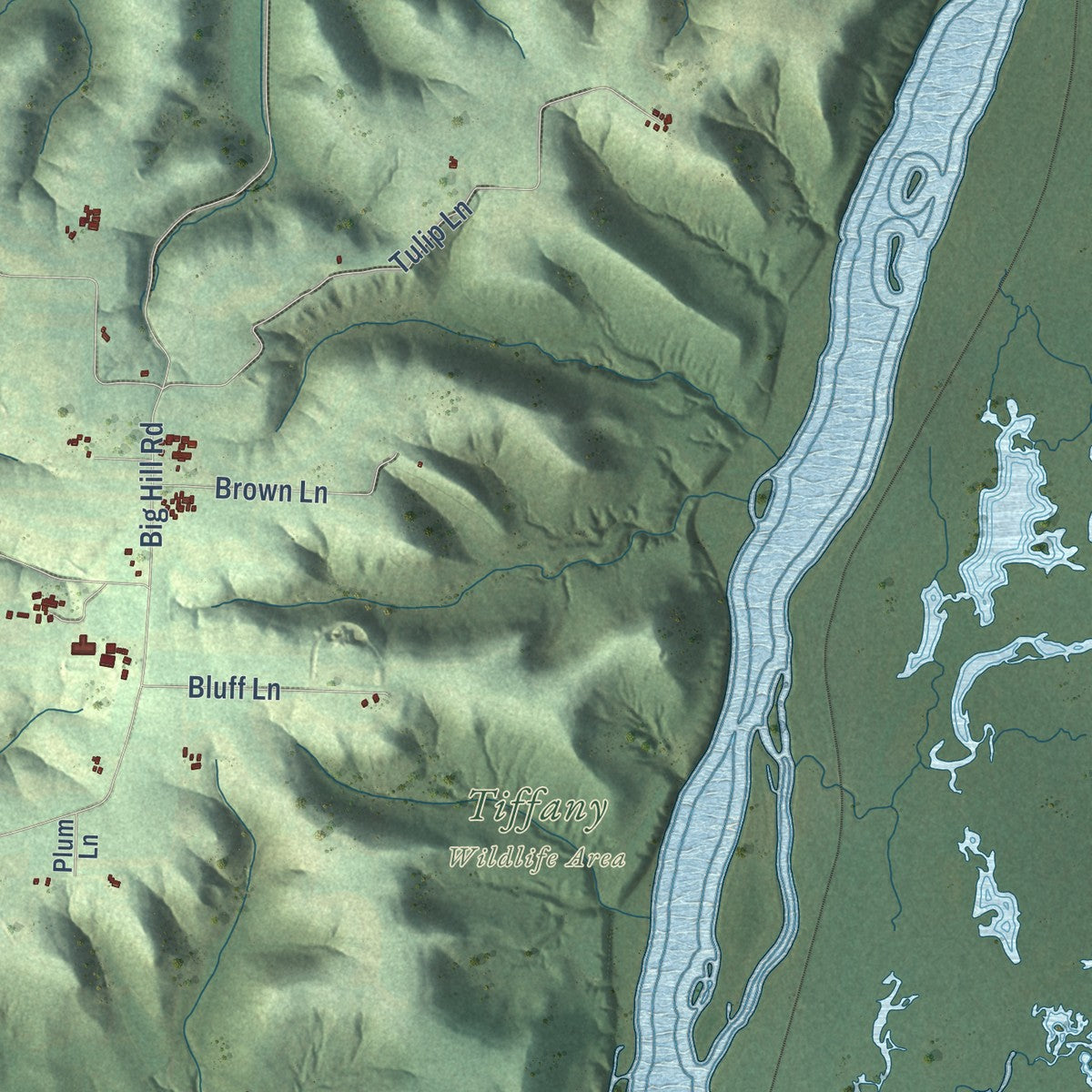 Second close-up of the map of the Town of Pepin, Wisconsin print showing more streets and buildings