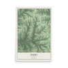 Map of Perry, Wisconsin, 12 x 18 inch unframed archival matte print