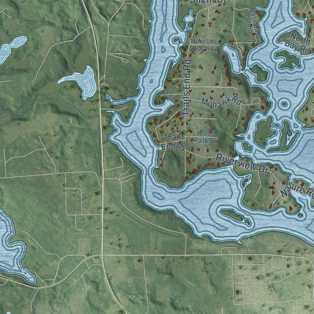 Close-up of the map of Pine Lake, Wisconsin print showing street and building detail