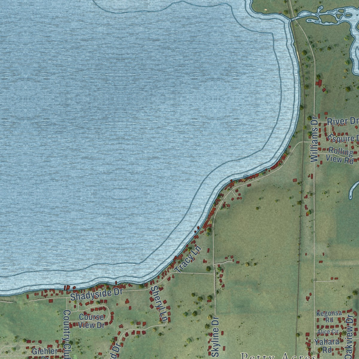 Close-up of the map of Pleasant Springs, Wisconsin print showing street and building detail