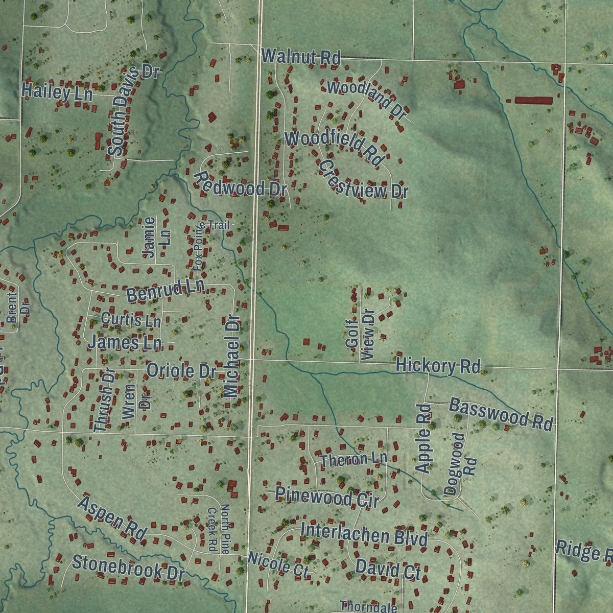 Close-up of the map of Pleasant Valley, Eau Claire County, Wisconsin print showing street and building detail
