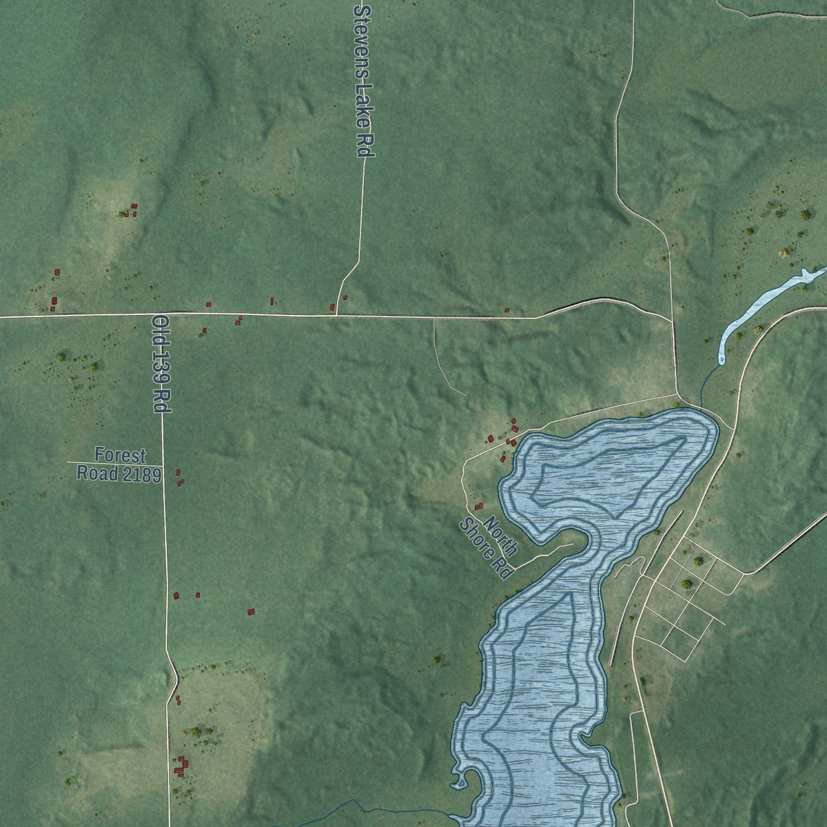 Close-up of the map of Popple River, Wisconsin print showing street and building detail