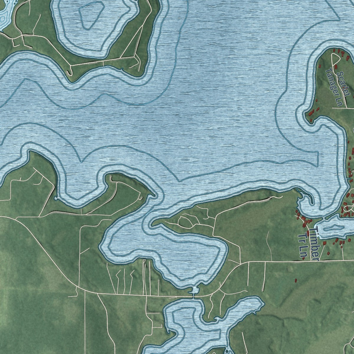 Close-up of the map of Round Lake, Wisconsin print showing street and building detail