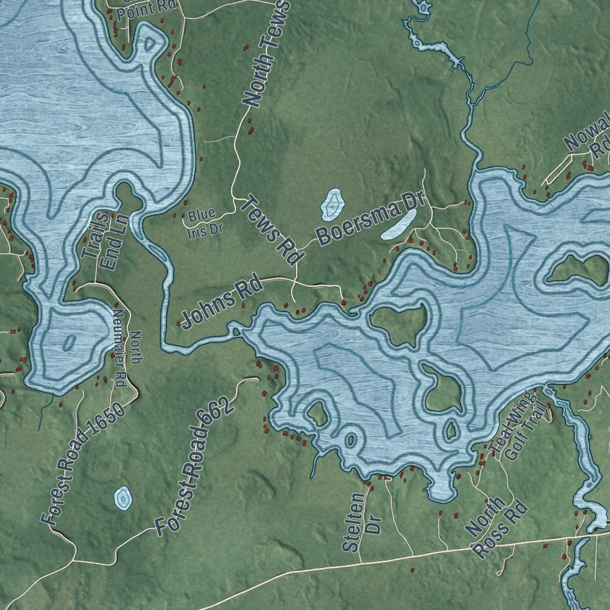 Close-up of the map of Spider Lake, Wisconsin print showing street and building detail