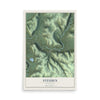 Map of Steuben, Wisconsin, 12 x 18 inch unframed archival matte print