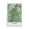 Map of Trimbelle, Wisconsin, 12 x 18 inch unframed archival matte print
