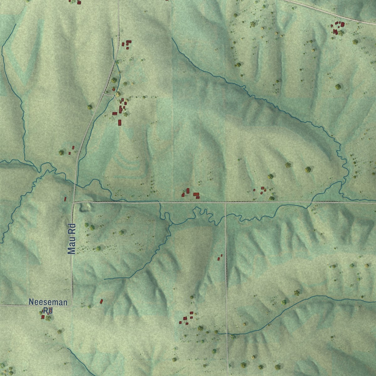 Second close-up of the map of Wayne, Lafayette County, Wisconsin print showing more streets and buildings