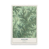 Map of Willow, Wisconsin, 12 x 18 inch unframed archival matte print