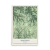 Map of Wingville, Wisconsin, 12 x 18 inch unframed archival matte print