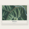 Bruno, West Virginia map print, the full design