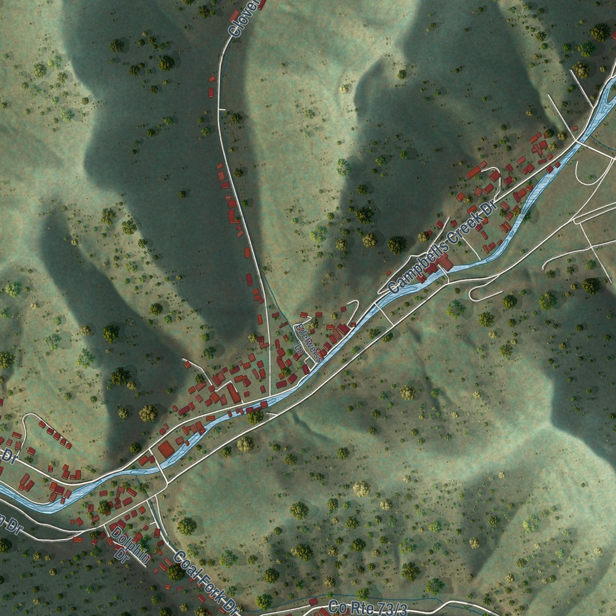 Close-up of the map of Coal Fork, West Virginia print showing street and building detail