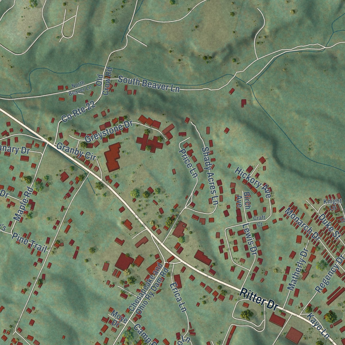 Close-up of the map of Daniels, West Virginia print showing street and building detail