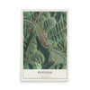 Map of Danville, West Virginia, 12 x 18 inch unframed archival matte print