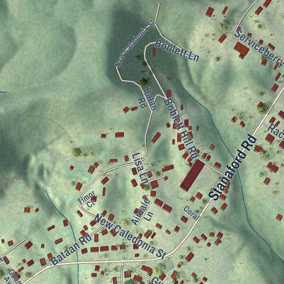 Close-up of the map of Piney View, West Virginia print showing street and building detail