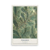 Map of Pullman, West Virginia, 12 x 18 inch unframed archival matte print