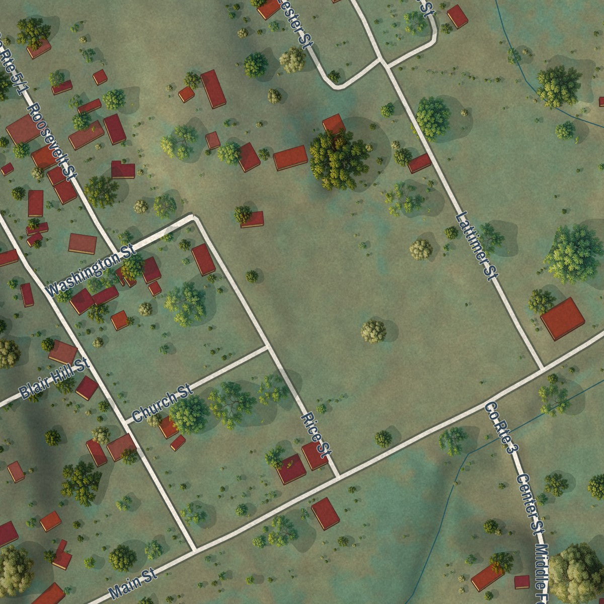Close-up of the map of Reedy, West Virginia print showing street and building detail