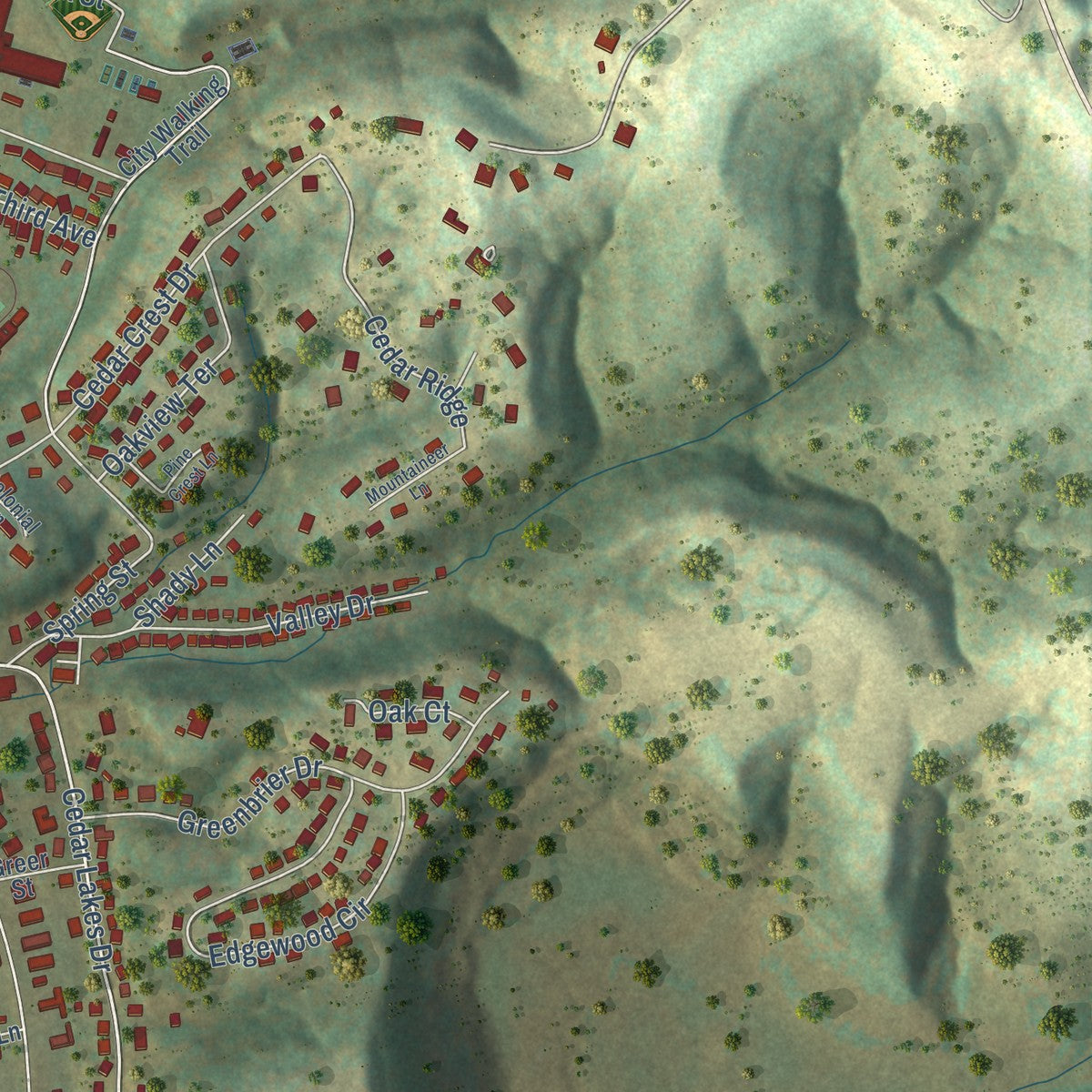 Second close-up of the map of Ripley, West Virginia print showing more streets and buildings