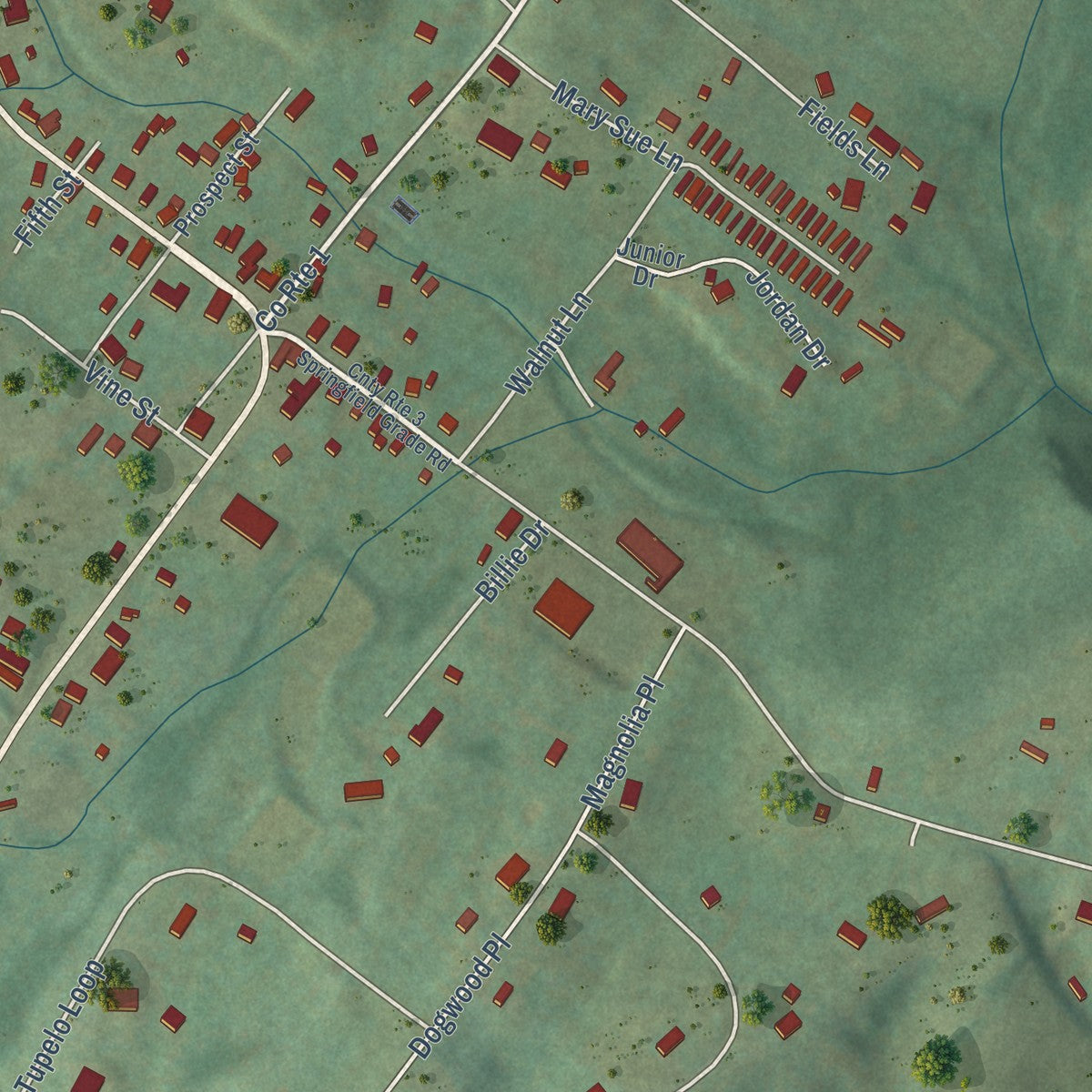Close-up of the map of Springfield, West Virginia print showing street and building detail