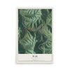Map of War, West Virginia, 12 x 18 inch unframed archival matte print