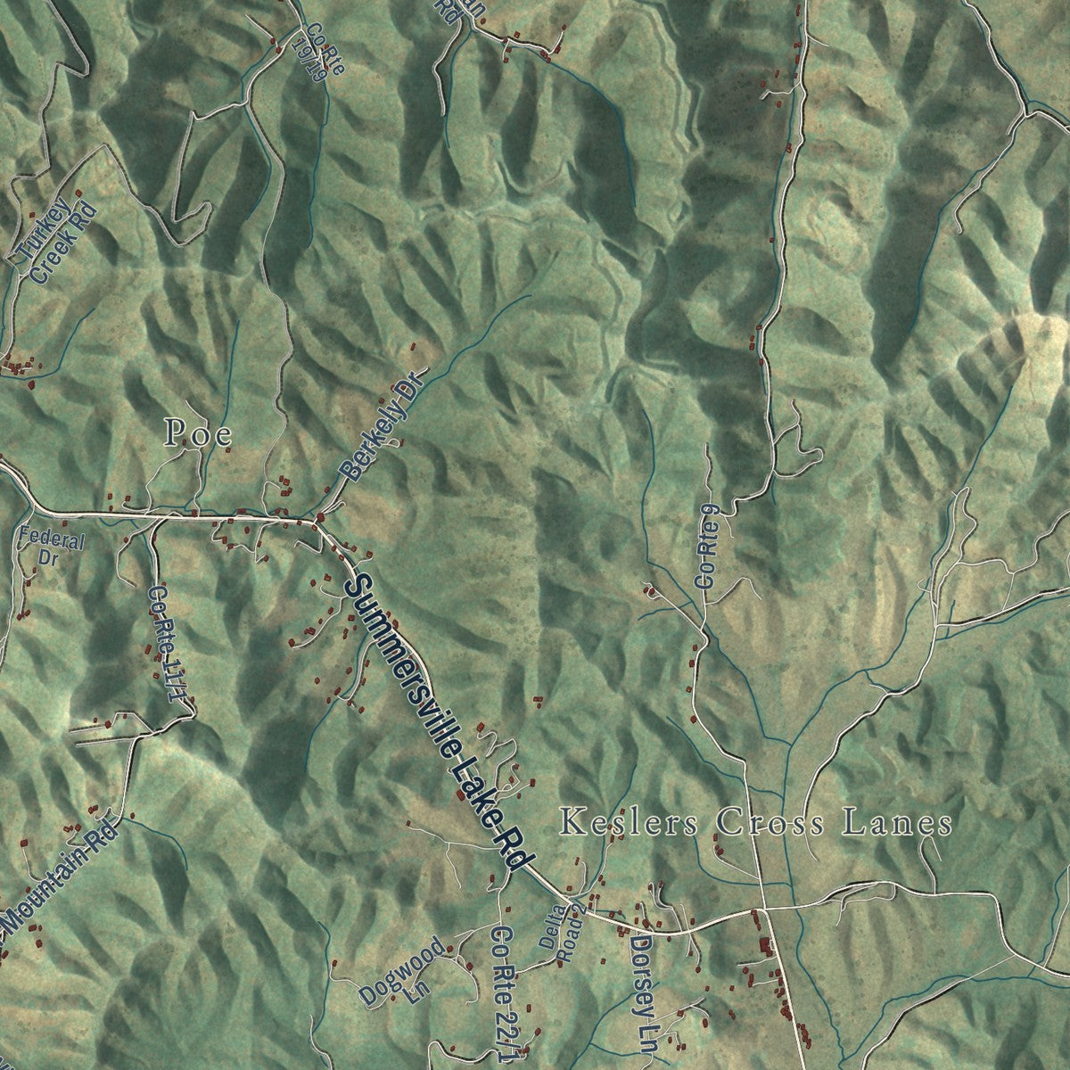 Close-up of the map of Zela, West Virginia print showing street and building detail