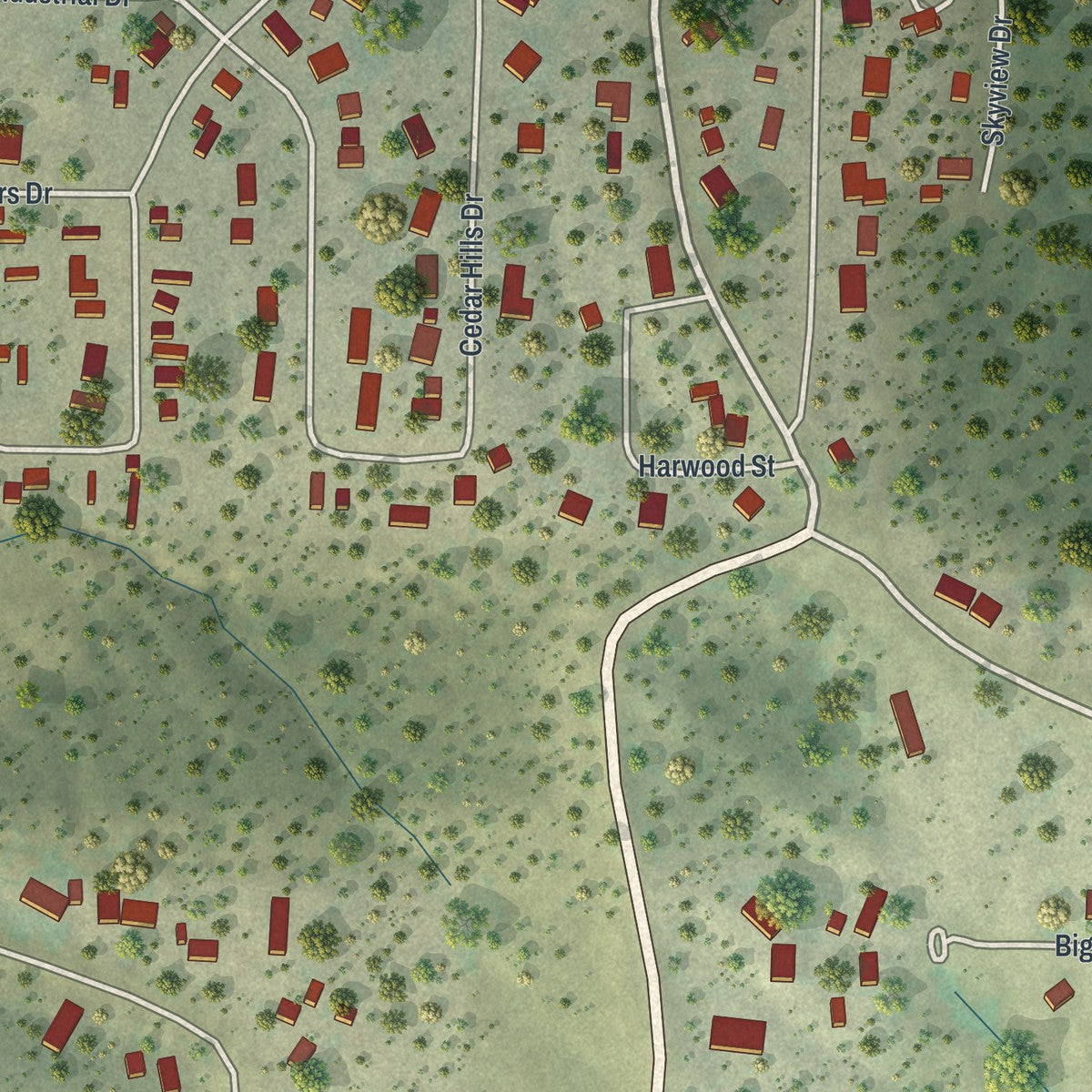 Close-up of the map of Pine Haven, Wyoming print showing street and building detail