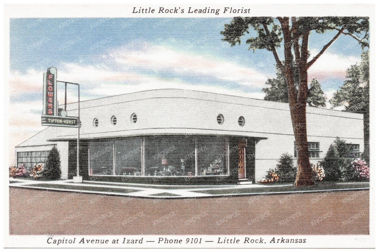 Little Rock Florist Vintage Postcard 1930s - Available at KNOWOL