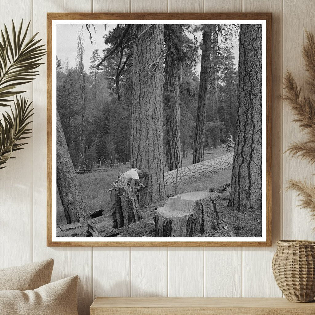 Malheur National Forest Scene July 1942 Vintage Photo - Available at KNOWOL