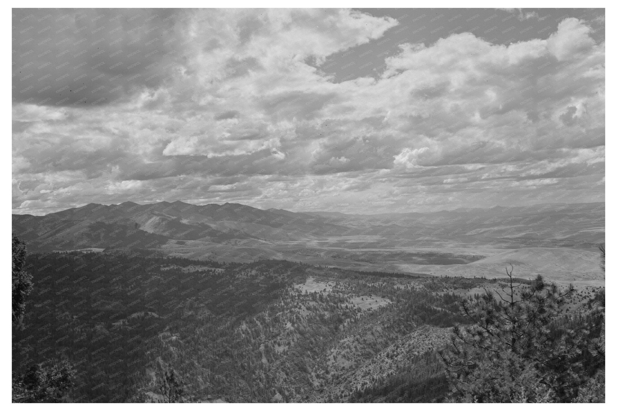 Malheur National Forest Vintage Photo July 1942 - Available at KNOWOL