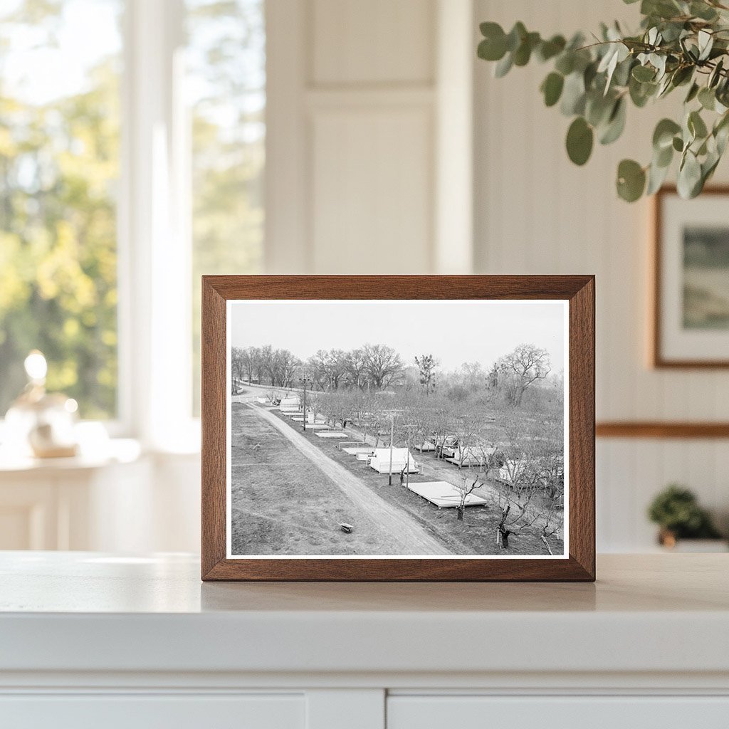 Migrant Camp Living Conditions Gridley California 1939 - Available at KNOWOL